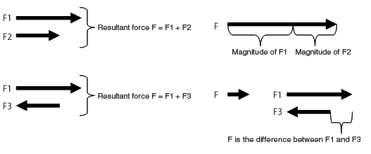 Fig