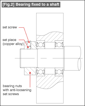 [Fig.1]