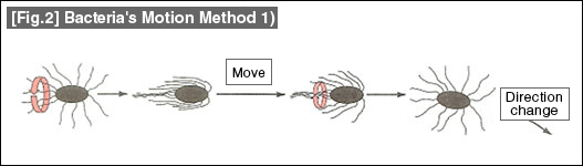 [Fig.2] Bacteria's Motion Method 1)