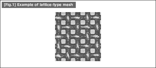 [Fig.1] Example of lattice-type mesh