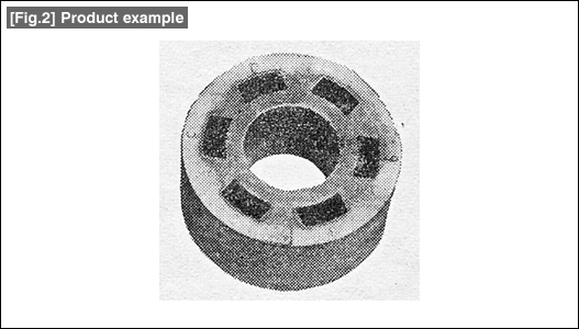 [Fig.2] Product example