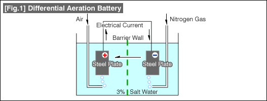 [Fig.1] Differential Aeration Battery
