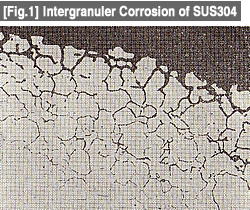 [Fig.1] Intergranuler Corrosion of SUS304