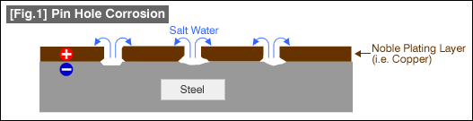 [Fig.1] Pin Hole Corrosion