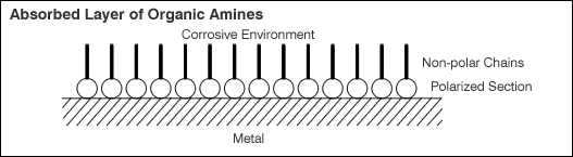 Absorbed Layer of Organic Amines