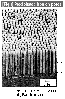 [Fig.1] Precipitated iron on pores