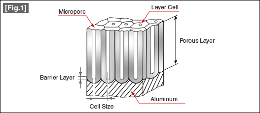 [Fig.1]