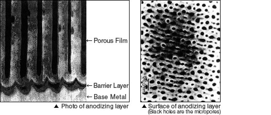 [Fig.2]