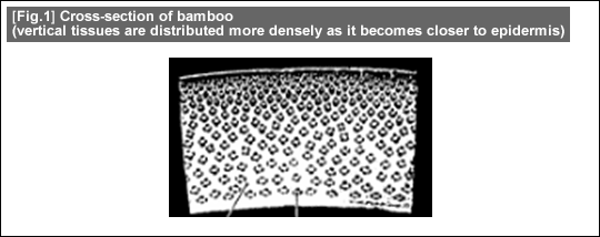 [Fig.1] Cross-section of bamboo (vertical tissues are distributed more densely as it becomes closer to epidermis)